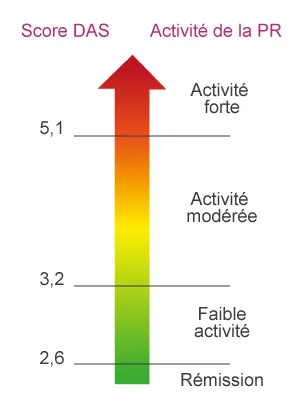 Score DAS Polyarthrite rhumatoïque